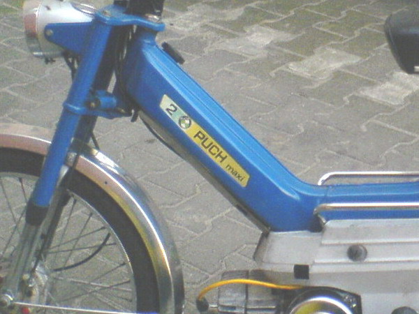 Luis_puch maxi 2k_01